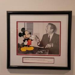 Walt Disney Sericel