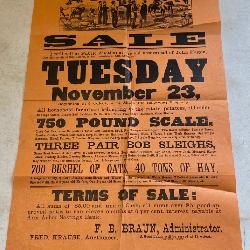 Early Ann Arbor Auction Flyer, Braun Admin