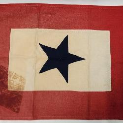 WWII USA Blue Star Service Member Flag