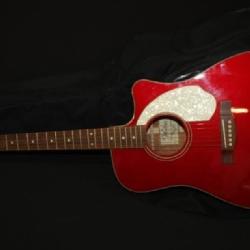 Fender SonoRaw Guitar and Case
