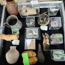 Native American Collection dating back to 600 AD