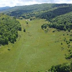 215 Acres Pasture and Woodland