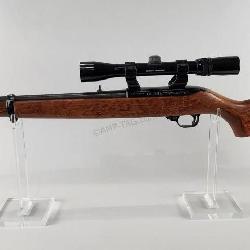 Ruger Model 10/22 Carbine with Bushnell Scope