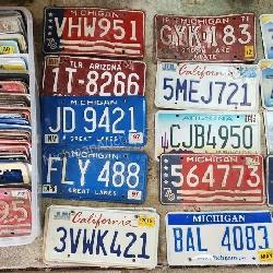Large Collection of License Plates