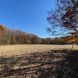 Tillable & Wooded Acreage