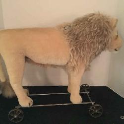 Steiff Ride on Lion