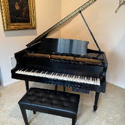 Grand Piano