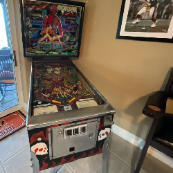 GORGAR PINBALL MACHINE ….  AT ORLANDO ESTATE SALE