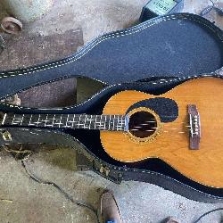 Degas Acoustic Guitar