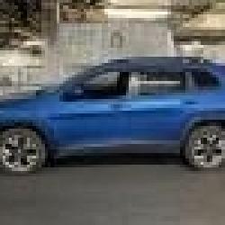 US Customs Service Auction