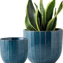 2 Pack Ceramic Pots for Indoor Plants - 5 + 6.5