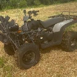 Quad runner