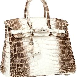 Hermes Birkin Bag Himalayan Crocodile 35cm 