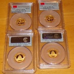 gold Panda coins