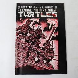 Ninga Turtles Comic