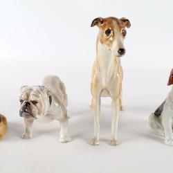 Collection of Dogs