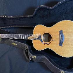 Taylor Limited Edition Liberty Tree Acoustic Guitar