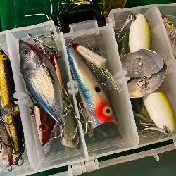 Fishing Lures & Rods