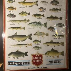 Lone Star Freshwater Fish Poster