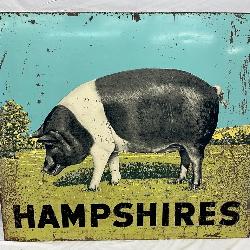 48×42 Double-Sided Hampshire Pig Sign