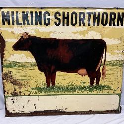 ‘Milking Shorthorn’ DS metal w/cow Graphic, 48×42 Inches
