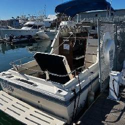 Boat Auction