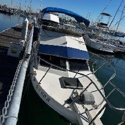 Boat Auction