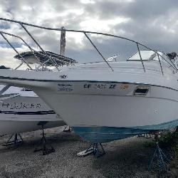 Boat Auction