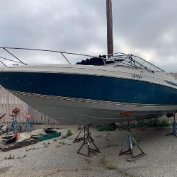 Boat Auction