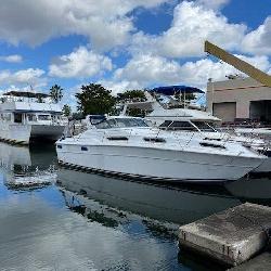 Boat Auction