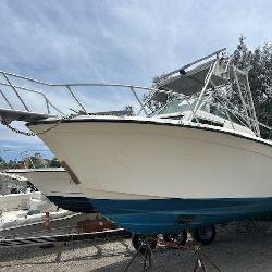 Boat Auction