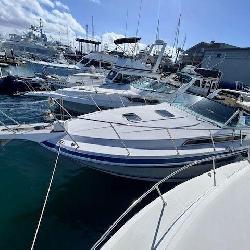 Boat Auction