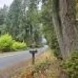 Vashon WA
