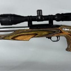 Ruger 10/22 Carbine .22 LR Rifle
