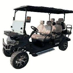 SDLanch SDLGC100 Golf Cart 