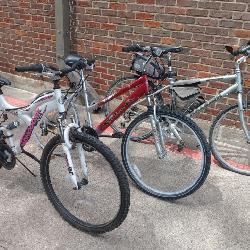Group of 3 Adult Mountain Bikes