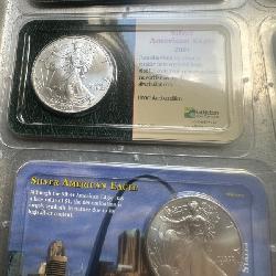 Silver Eagles