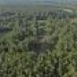 Vacant Land, Rusk TX