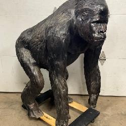 Gorilla Cast Aluminum Store Display Measuring 42in x 48in