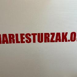 CHARLES TURZAK PAINTINGS