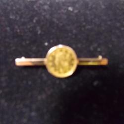 Gold Coin Pin