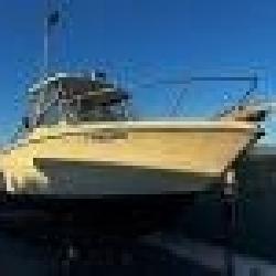 US Treasury Dept. Online Vessel Auction