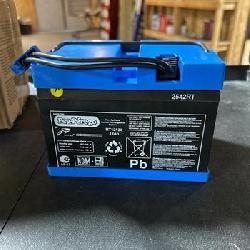 Official Peg Perego 12-Volt Rechargeable Battery