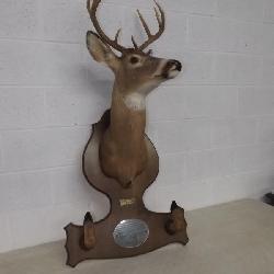 Deer Head with gun rack
