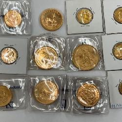 GROUP SAMPLE PICTURE GOLD COINS