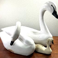 Swan Decoys